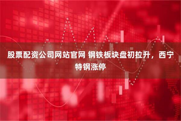 股票配资公司网站官网 钢铁板块盘初拉升，西宁特钢涨停